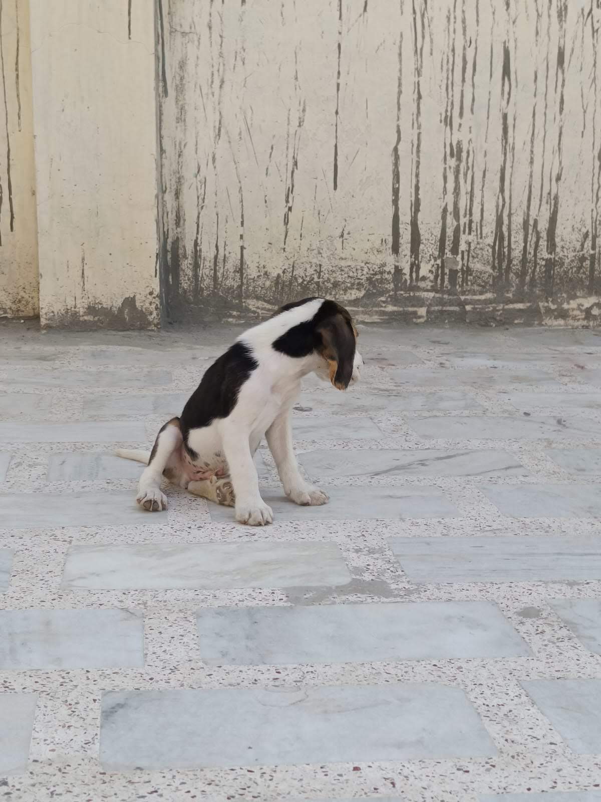 Tiny Steps Across the Room