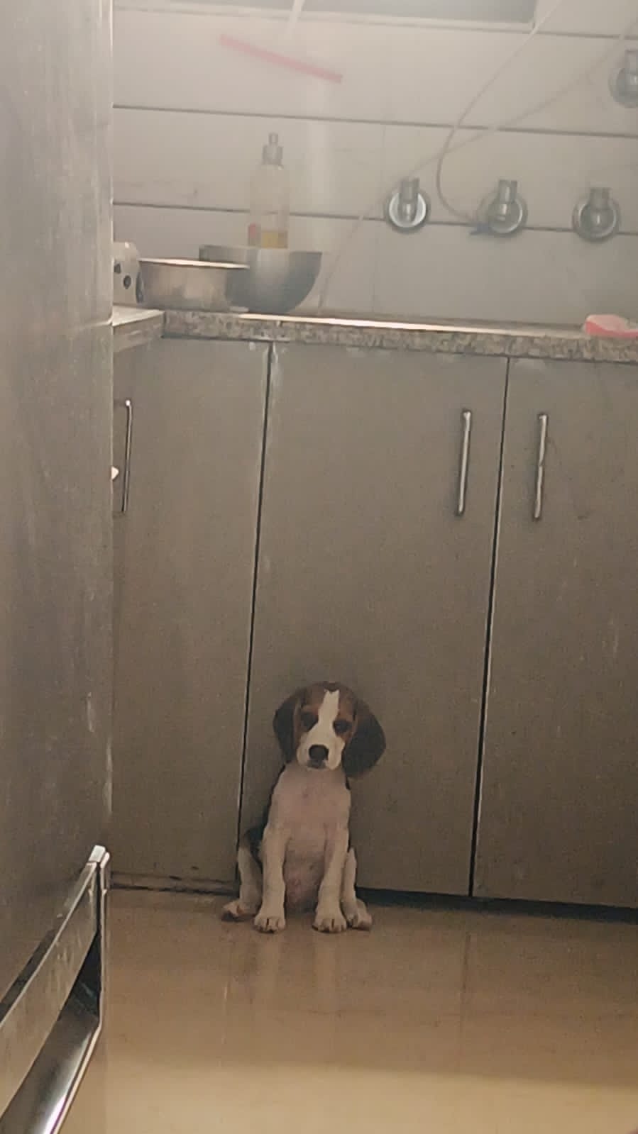 Watching Birds by the Door